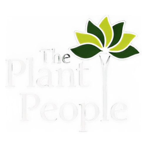 Logo 4